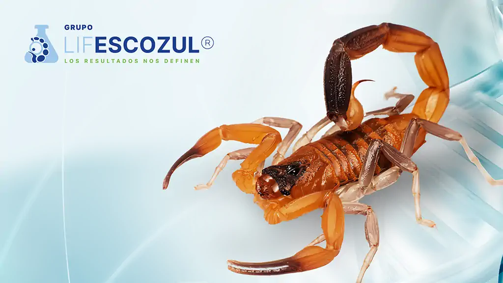 Grupo LifEscozul® presenta su primera patente de Escozul